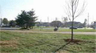 Sports Complex Landscape Project