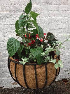 Cemetery Flower Basket