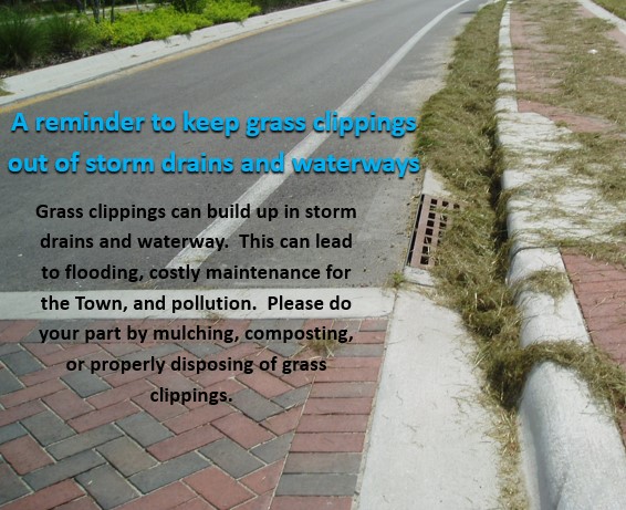 Stormwater Grass Clippings
