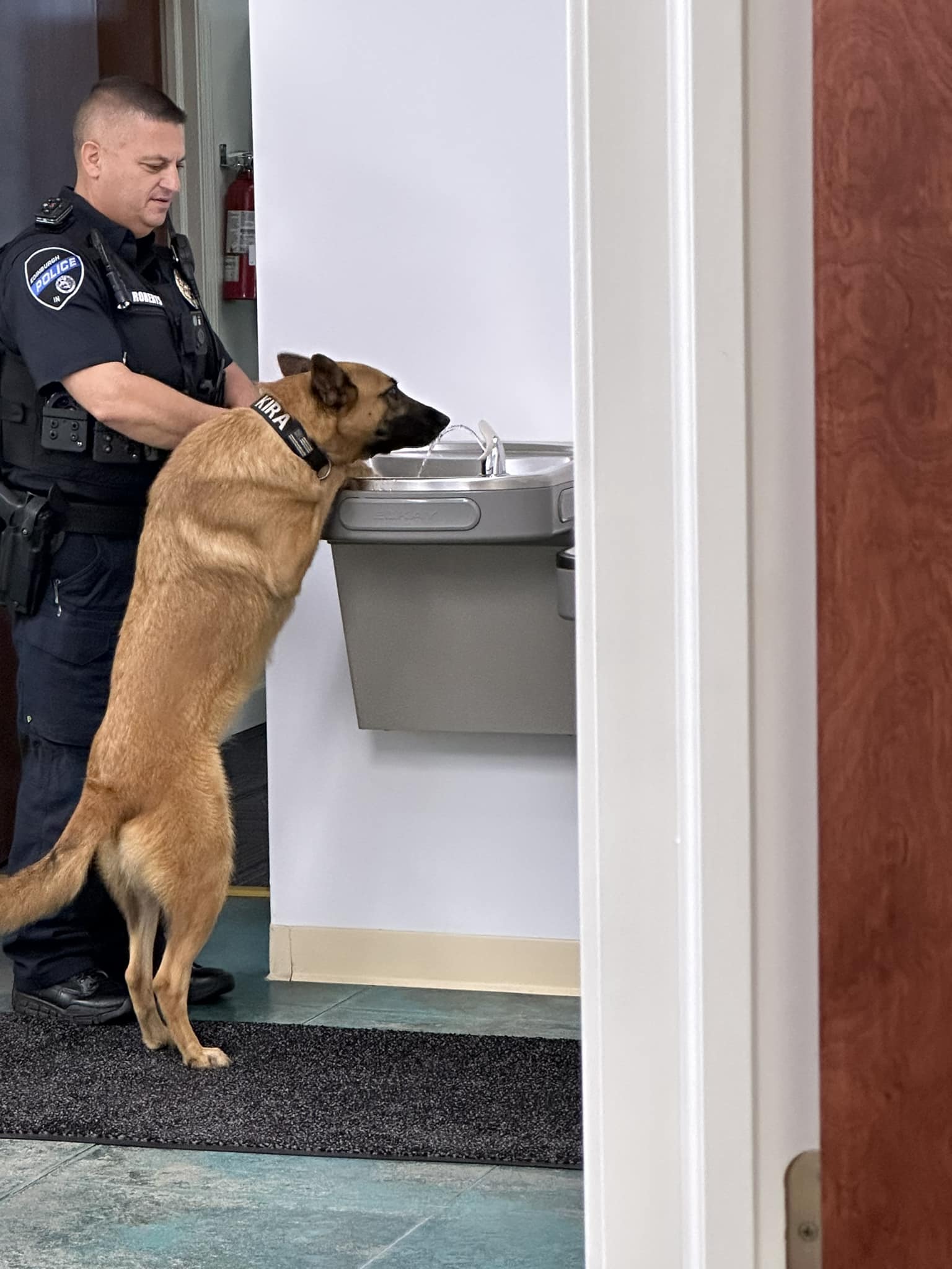K9 Kira 5
